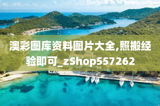 澳彩图库资料图片大全,照搬经验即可_zShop557262