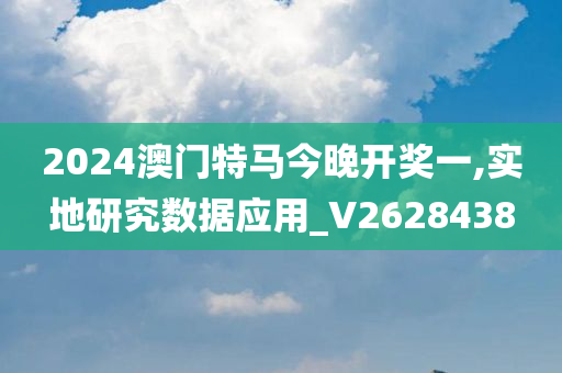 2024澳门特马今晚开奖一,实地研究数据应用_V2628438