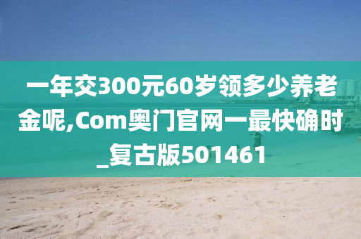 一年交300元60岁领多少养老金呢,Com奥门官网一最快确时_复古版501461