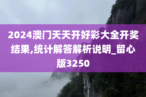 2024澳门天天开好彩大全开奖结果,统计解答解析说明_留心版3250