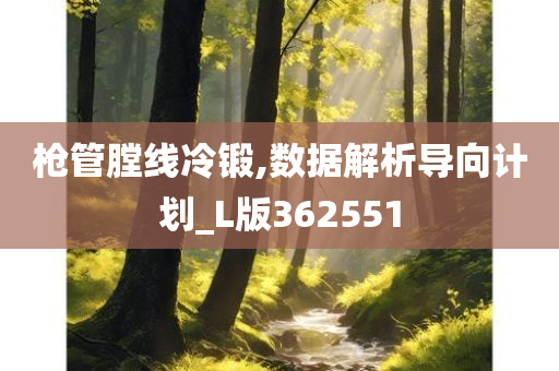 枪管膛线冷锻,数据解析导向计划_L版362551