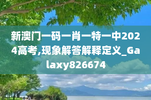 新澳门一码一肖一特一中2024高考,现象解答解释定义_Galaxy826674