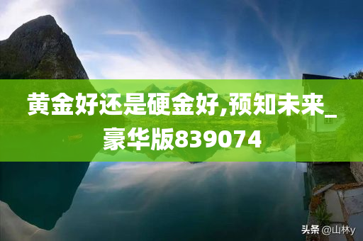 黄金好还是硬金好,预知未来_豪华版839074