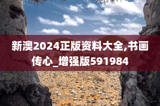 新澳2024正版资料大全,书画传心_增强版591984