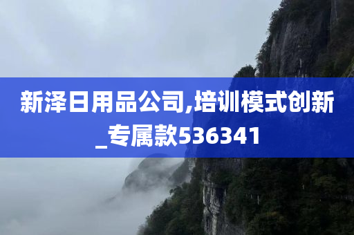 新泽日用品公司,培训模式创新_专属款536341