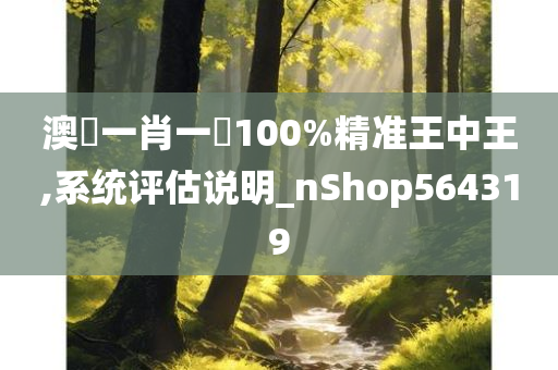 澳門一肖一碼100%精准王中王,系统评估说明_nShop564319