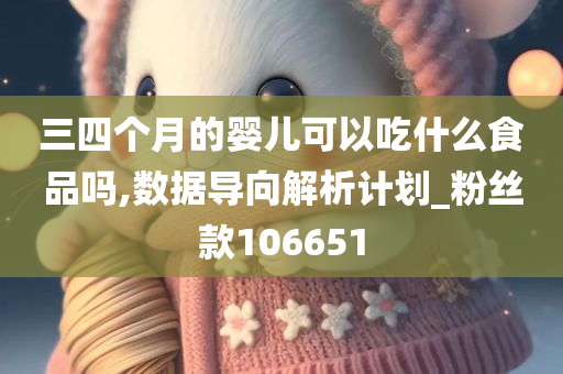 三四个月的婴儿可以吃什么食品吗,数据导向解析计划_粉丝款106651