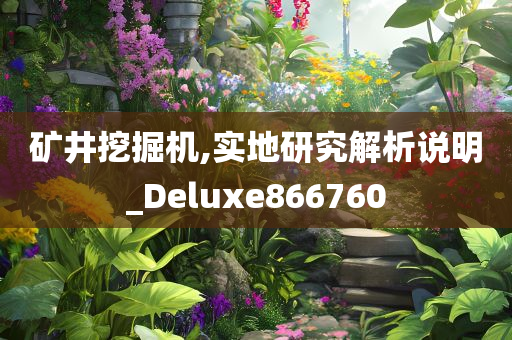 矿井挖掘机,实地研究解析说明_Deluxe866760