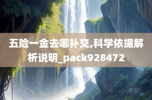 五险一金去哪补交,科学依据解析说明_pack928472