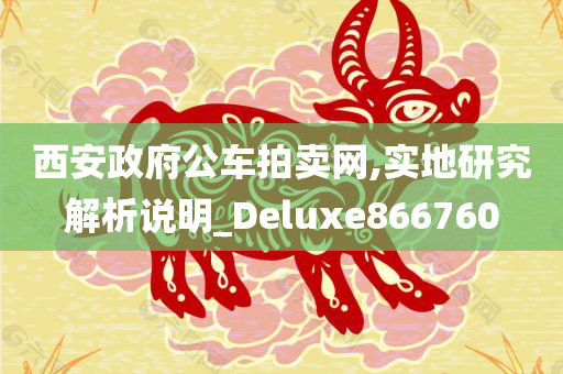 西安政府公车拍卖网,实地研究解析说明_Deluxe866760