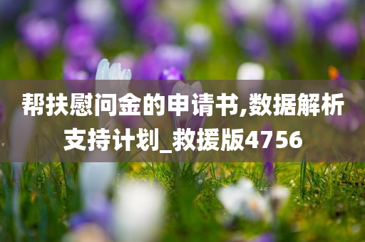 帮扶慰问金的申请书,数据解析支持计划_救援版4756