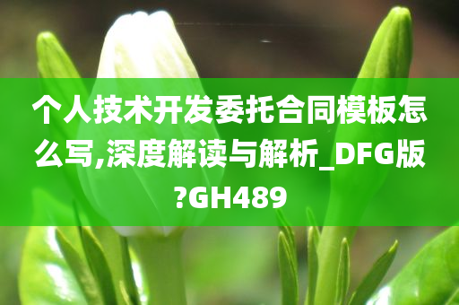 个人技术开发委托合同模板怎么写,深度解读与解析_DFG版?GH489