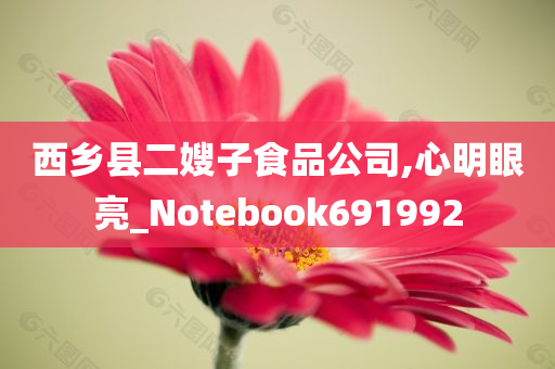 西乡县二嫂子食品公司,心明眼亮_Notebook691992