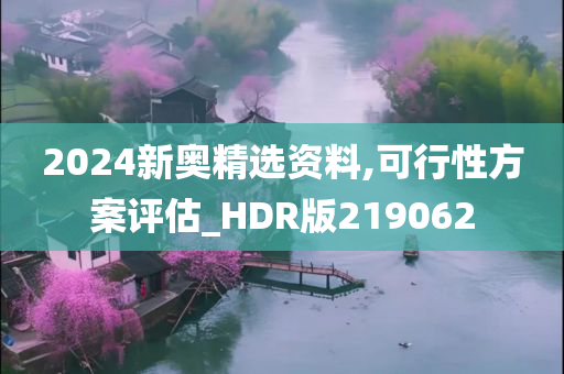 2024新奥精选资料,可行性方案评估_HDR版219062