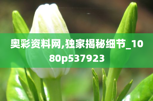 奥彩资料网,独家揭秘细节_1080p537923