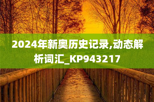 2024年新奥历史记录,动态解析词汇_KP943217