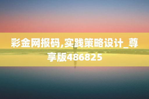 彩金网报码,实践策略设计_尊享版486825