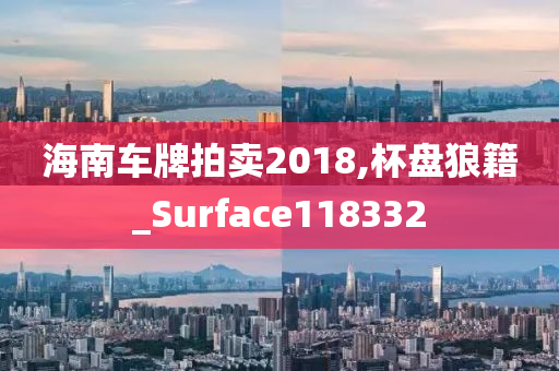 海南车牌拍卖2018,杯盘狼籍_Surface118332