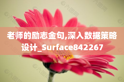 老师的励志金句,深入数据策略设计_Surface842267