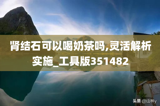 肾结石可以喝奶茶吗,灵活解析实施_工具版351482