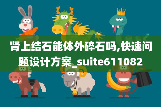 肾上结石能体外碎石吗,快速问题设计方案_suite611082