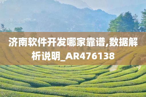 济南软件开发哪家靠谱,数据解析说明_AR476138