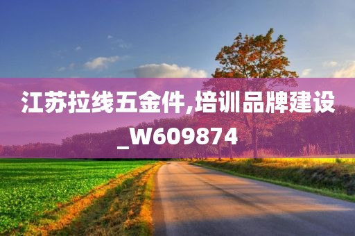 江苏拉线五金件,培训品牌建设_W609874