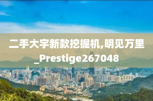 二手大宇新款挖掘机,明见万里_Prestige267048