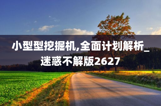 小型型挖掘机,全面计划解析_迷惑不解版2627