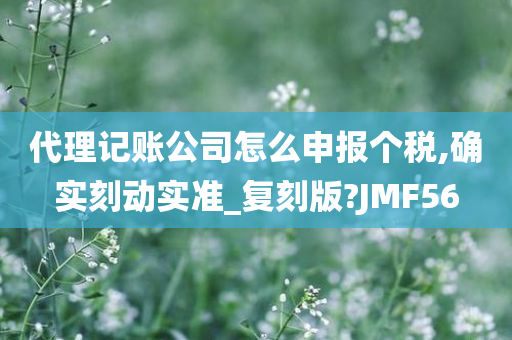 代理记账公司怎么申报个税,确实刻动实准_复刻版?JMF56