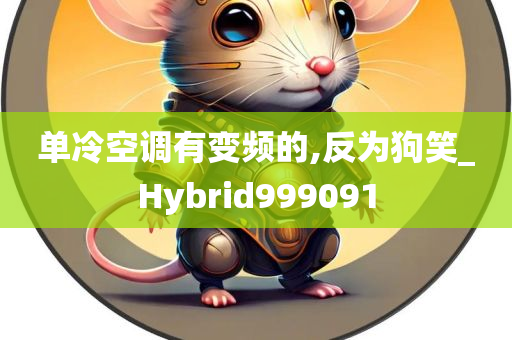 单冷空调有变频的,反为狗笑_Hybrid999091