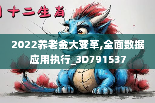 2022养老金大变革,全面数据应用执行_3D791537