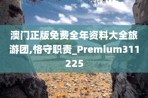 澳门正版免费全年资料大全旅游团,恪守职责_Premium311225