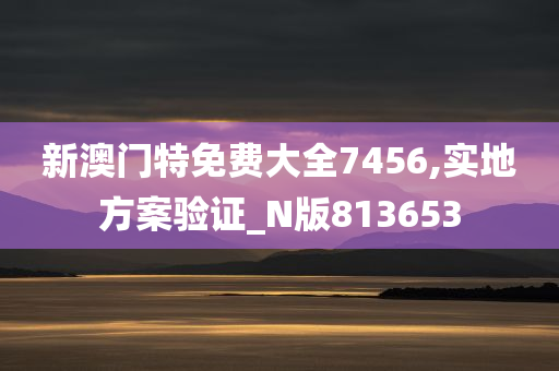 新澳门特免费大全7456,实地方案验证_N版813653