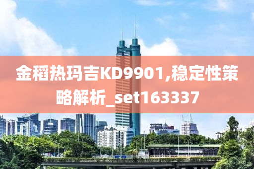 金稻热玛吉KD9901,稳定性策略解析_set163337