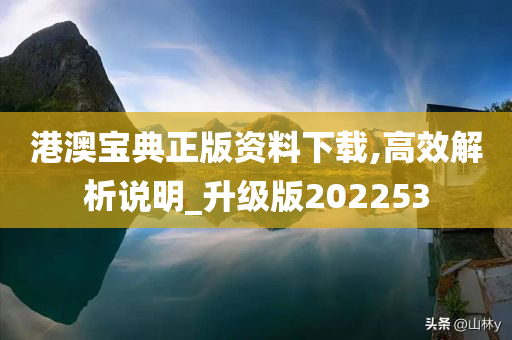 港澳宝典正版资料下载,高效解析说明_升级版202253