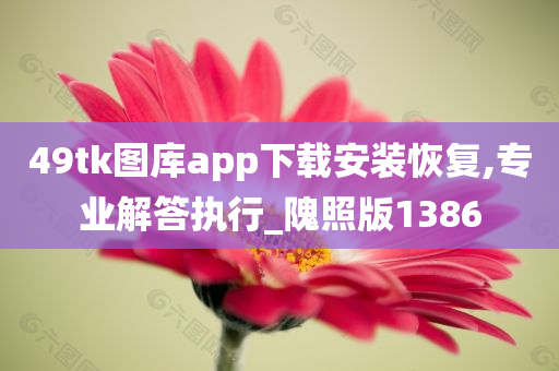 49tk图库app下载安装恢复,专业解答执行_隗照版1386