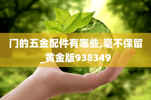 门的五金配件有哪些,毫不保留_黄金版938349