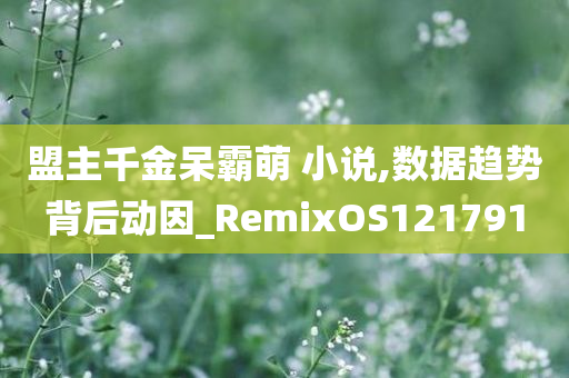 盟主千金呆霸萌 小说,数据趋势背后动因_RemixOS121791