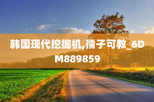 韩国现代挖掘机,孺子可教_6DM889859