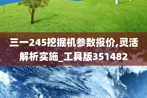 三一245挖掘机参数报价,灵活解析实施_工具版351482