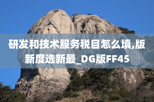 研发和技术服务税目怎么填,版新度选新最_DG版FF45