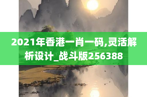 2021年香港一肖一码,灵活解析设计_战斗版256388