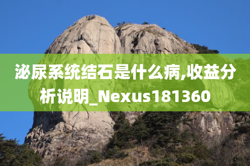 泌尿系统结石是什么病,收益分析说明_Nexus181360