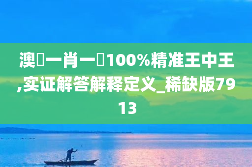 澳門一肖一碼100%精准王中王,实证解答解释定义_稀缺版7913