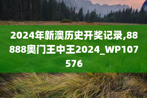 2024年新澳历史开奖记录,88888奥门王中王2024_WP107576