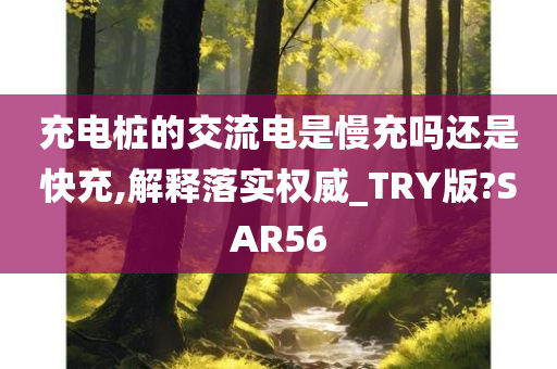 充电桩的交流电是慢充吗还是快充,解释落实权威_TRY版?SAR56