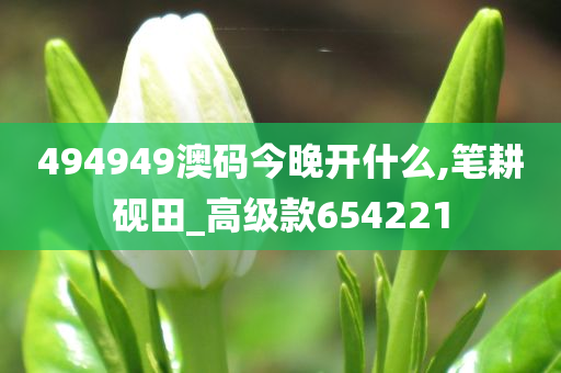 494949澳码今晚开什么,笔耕砚田_高级款654221