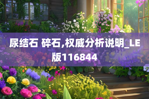 尿结石 碎石,权威分析说明_LE版116844