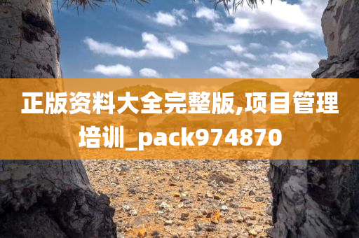 正版资料大全完整版,项目管理培训_pack974870